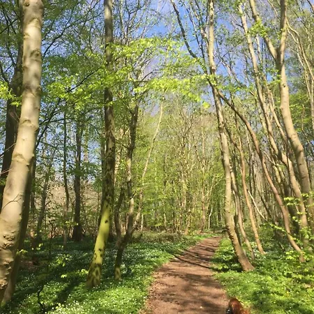 Apartment Anesminde Give